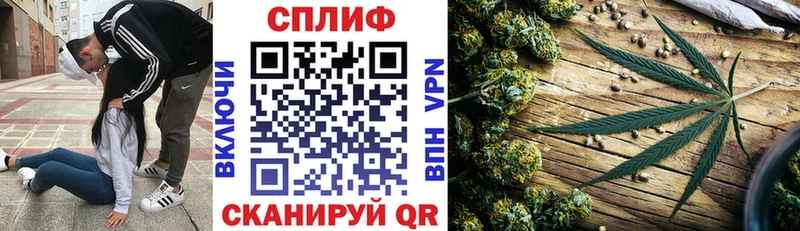 Купить наркотик Гвардейск Каннабис КОКАИН СК Меф мяу мяу