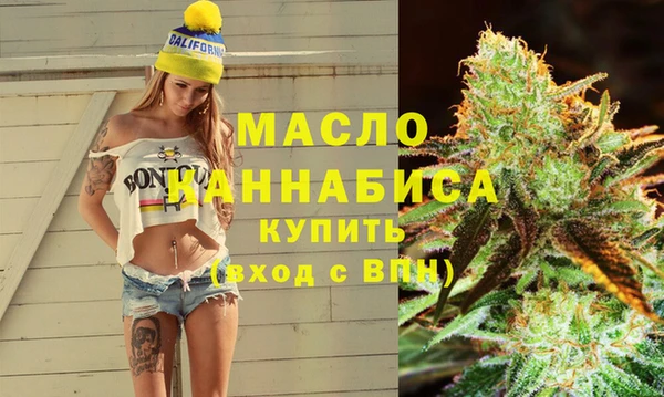 сатива Сатка