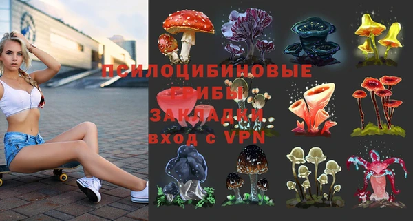 мдпв Балабаново
