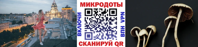 Галлюциногенные грибы Magic Shrooms  hydra рабочий сайт  Гвардейск  купить наркоту 